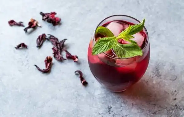 Gudhal Kya Hai In Hindi - What is Gudhal in Hindi? | hibiscus leaves