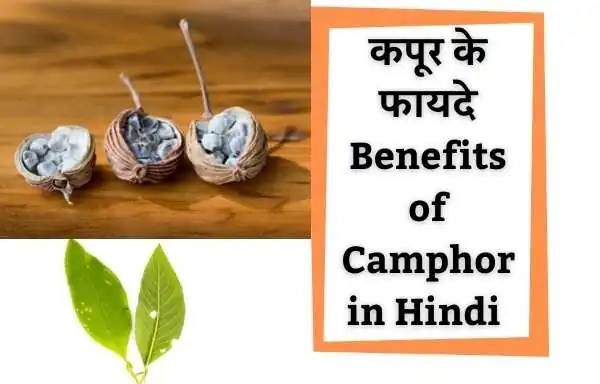 Kapur Ke Fyade | कपूर के फायदे | Benefits of Camphor in hindi 