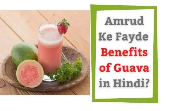 Amrud Ke Fayde | Benefits of Guava in Hindi?
