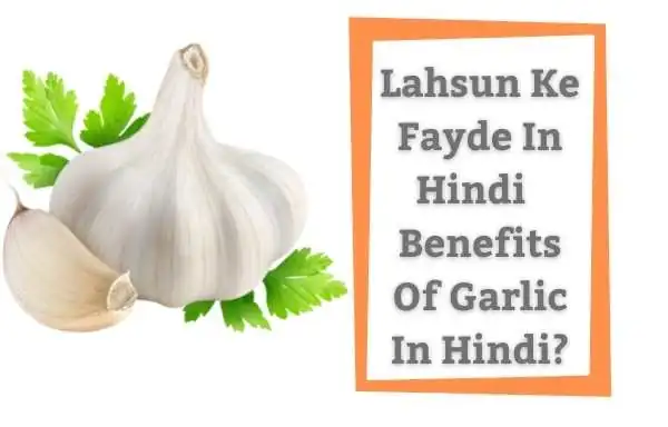 Lahsun Ke Fayde In Hindi | Benefits Of Garlic In Hindi?