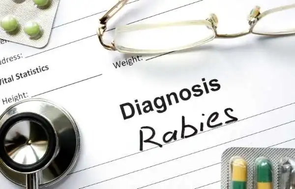 Rabies diagnosis in Hindi |  rabies vaccine schedule in Hindi 