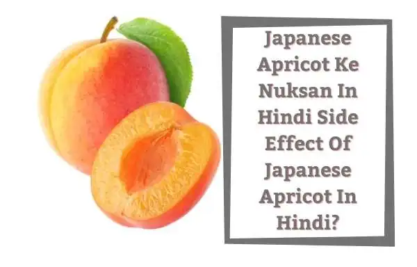 Japanese Apricot Ke Nuksan In Hindi | Side Effect Of Japanese Apricot In Hindi?