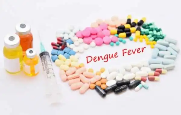 dengue causes in hindi