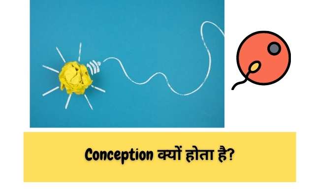 What is Conception in Hindi- गर्भावस्था में गर्भ धारण करने का फोटो 