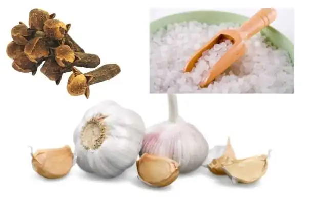 13 Best Home Remedies for Teething Pain In Hindi
