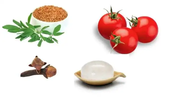 गले में दर्द का घरेलु उपचार ( Home remedy of throat pain)