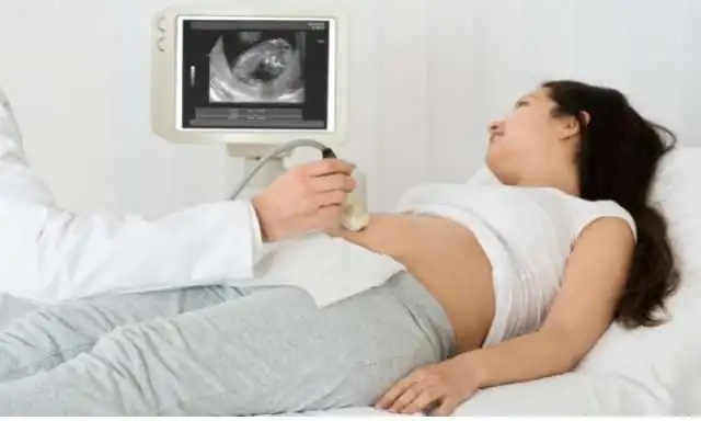 Thirty Ninth week of Pregnancy