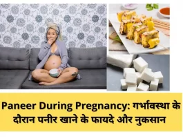 Paneer During Pregnancy: गर्भावस्था के दौरान पनीर खाने के फायदे और नुकसान |Advantages and disadvantages of eating paneer during pregnancy